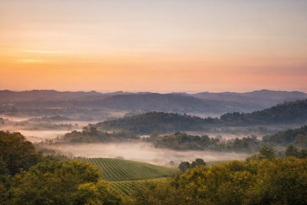 Sonoma County hills and vineyards at sunrise
